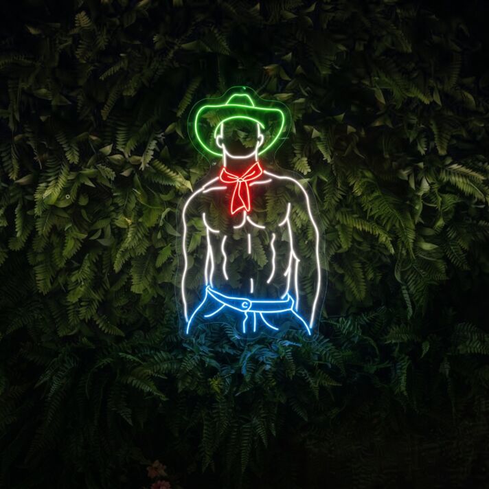 Revamp Your Space with Elegance: Howdy Cowboy Hat Texas Led Neon Sign Sexy Body Gay Man Cowboy Hat for Home Decor, Bars, and Festive Celebrations