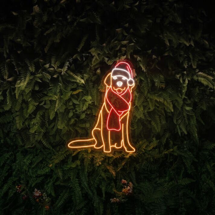 Bring festive warmth to your home, office, or holiday parties with the Labrador Christmas Hat Led Neon Sign, the perfect Christmas Labrador Led Sign for seasonal decor.