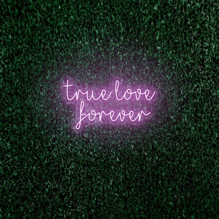 True love forever LED neon sign