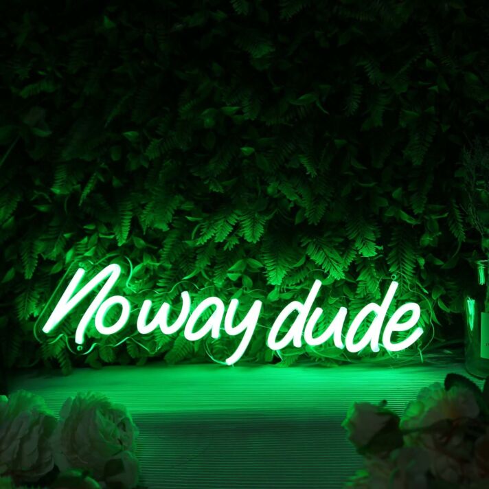 Noway Dude Green Neon Sign