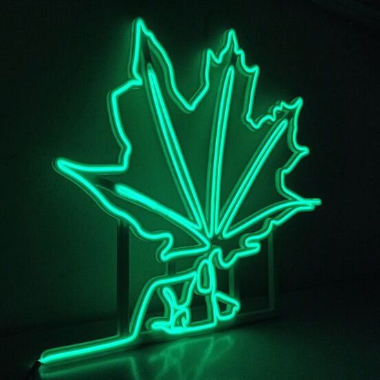 Summer Large Green Leaf Neon Sign