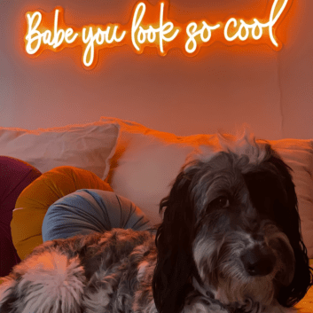 Babe You Look So Cool Script LED Neon Sign