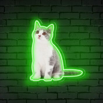 Custom Cat Photo UV LED Neon Sign for Pet Lovers