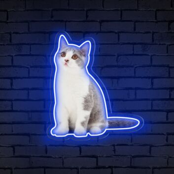 Add a Splash of Whimsy to Your Decor: From Home to Office, Perfect for Parties and Bars with Neon Cat Portrait Personalized UV Neon Sign.