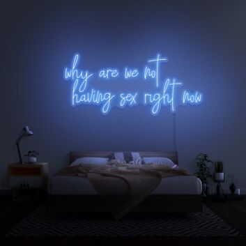 Why Are We Not Having Sex Right Now Neon Sign