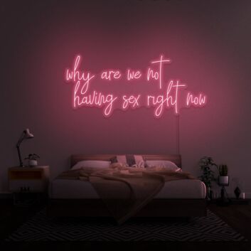 Why Are We Not Having Sex Right Now Neon Sign