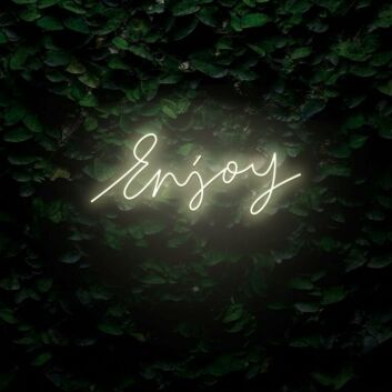 Enjoy Script LED Neon Sign