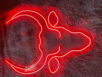 Texas Bull Head Led Neon Sign Restaurant Bar Club Decor