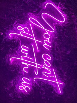 You Cant Sit With Us Custom Text Quote Christmas Decor Led Sign Neon