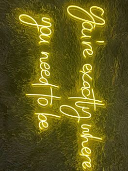 Youre Exactly Where You Need To Be Pub Bar Decor Hanging Led Neon Sign