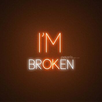 Im Broken Neon Sign