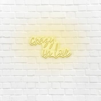 Crazy in love LED neon sign