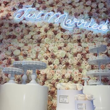 Just Married Neon Sign