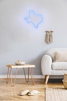 Texas Neon Sign