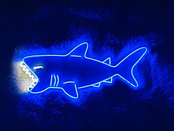 Shark Neon Sign