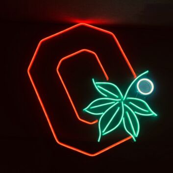 Ohio Neon Sign