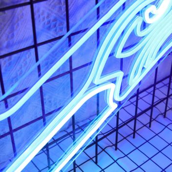 Seattle Seahawks Neon Sign