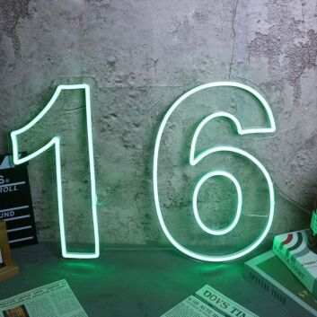 NO 16 Neon Sign