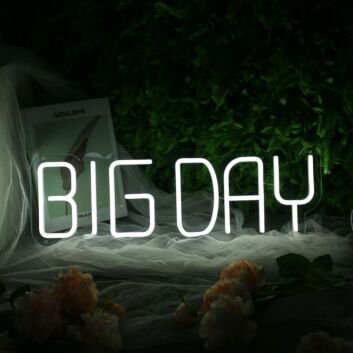 BIG DAY White Neon Sign