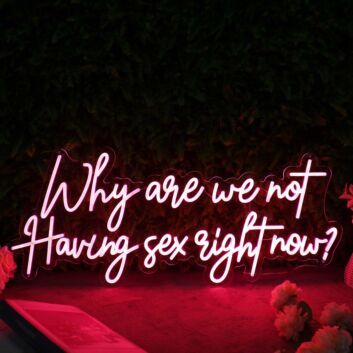 Why Are We Not Having Sex Right Now Red Neon Sign