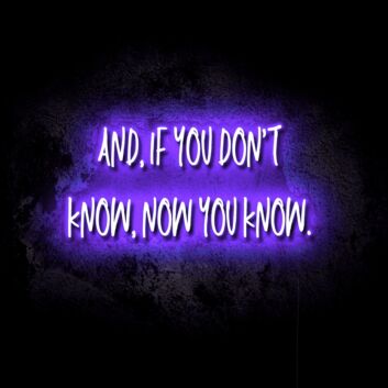 If You Don&#039;t Know, Now You Know LED Neon Sign