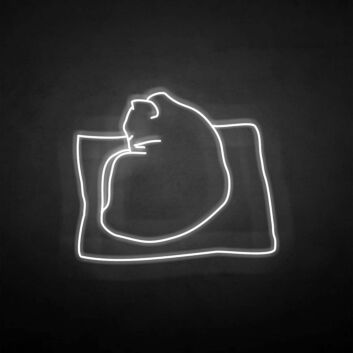 &#39;The cat on the pillow&#39; neon sign