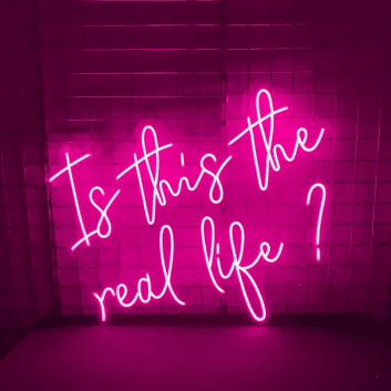 Is This the Real Life? LED Neon Sign