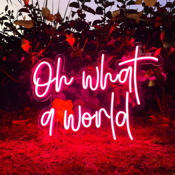 Oh What a World: Let Your Space Shine with Wonder!