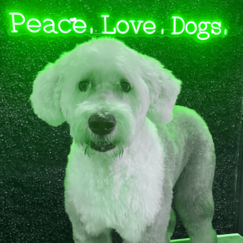 Peace Love Dogs: Illuminate Your Passion for Canine Companions with Our Neon Sign!