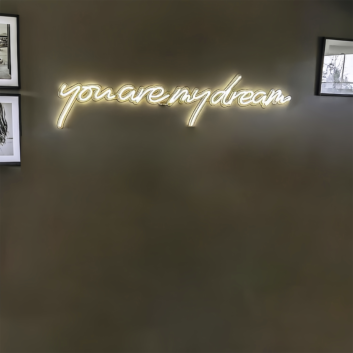 You are My Dream: Illuminate Your Space with Neon Fantasies