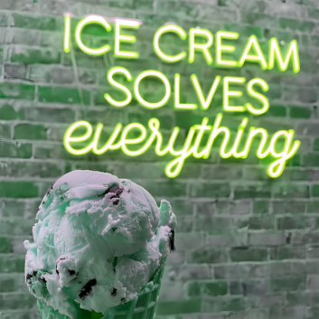 Indulge in Bliss Ice Cream Solves Everything Neon Sign