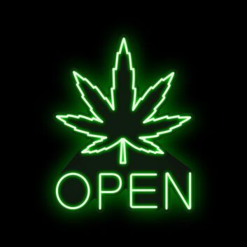 Customize Large Leaf Green Open Neon Signs