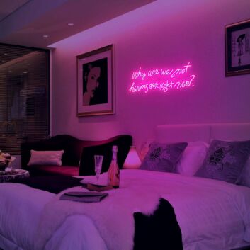 Bold Why Are We Not Having Sex Right Now Neon Sign NE1043 for Unique Decor