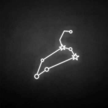 &#39;Leo&#39; neon sign