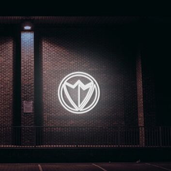 Falcon Neon Sign V2 for Bird Lovers