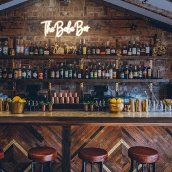 The Babe Bar Neon Sign Bar Style