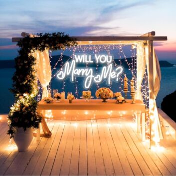 Will You Marry Me Neon Sign Proposal