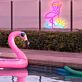 Flamingo Sunset and Wave LED Neon Sign