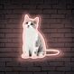 Custom Cat Photo UV LED Neon Sign for Pet Lovers