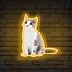 Custom Cat Photo UV LED Neon Sign for Pet Lovers