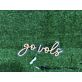 Go Vols Script LED Neon Sign