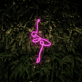Ballerina Neon Sign