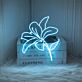 Lilly Version 2 Neon Sign