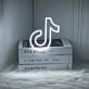 Logo Tiktok Neon Sign