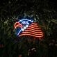 American National Eagle 4th of July Neon Sign
