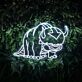 Appa Avatar V1 Neon Sign