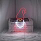 Gnome Neon Sign