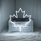 Maple Leaf Canada Day Neon Sign