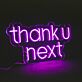 Thank U Next Two-Line Rounded Lettering LED Neon Sign