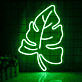 Split Monstera Leaf Outline LED Neon Sign